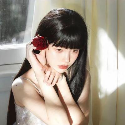 黑之契约者2:流星的双子